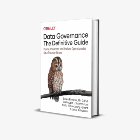 Data Governance The Definitive Guide (1 ed)